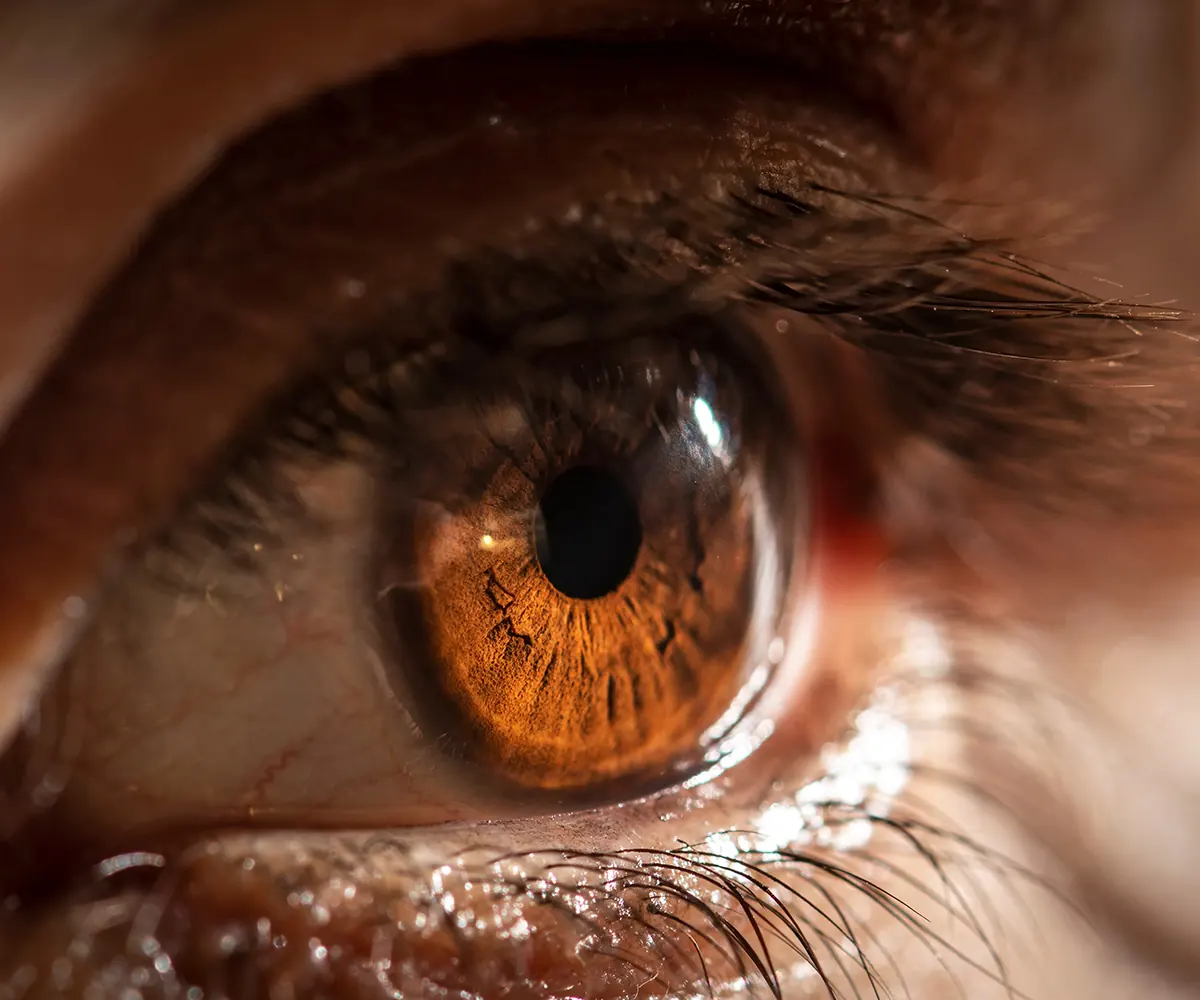 brown eye close up with light shining in